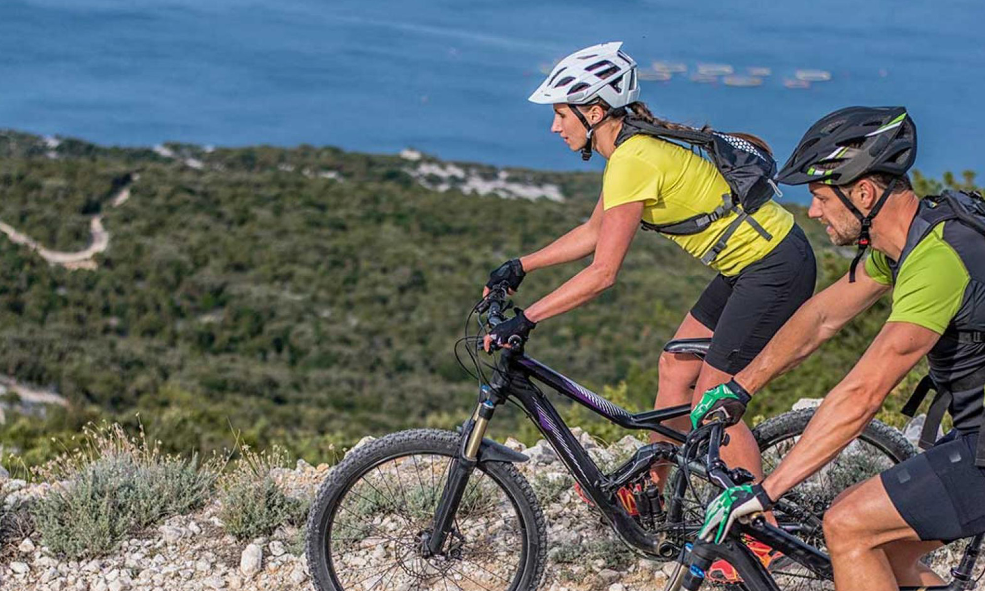 vtt paca