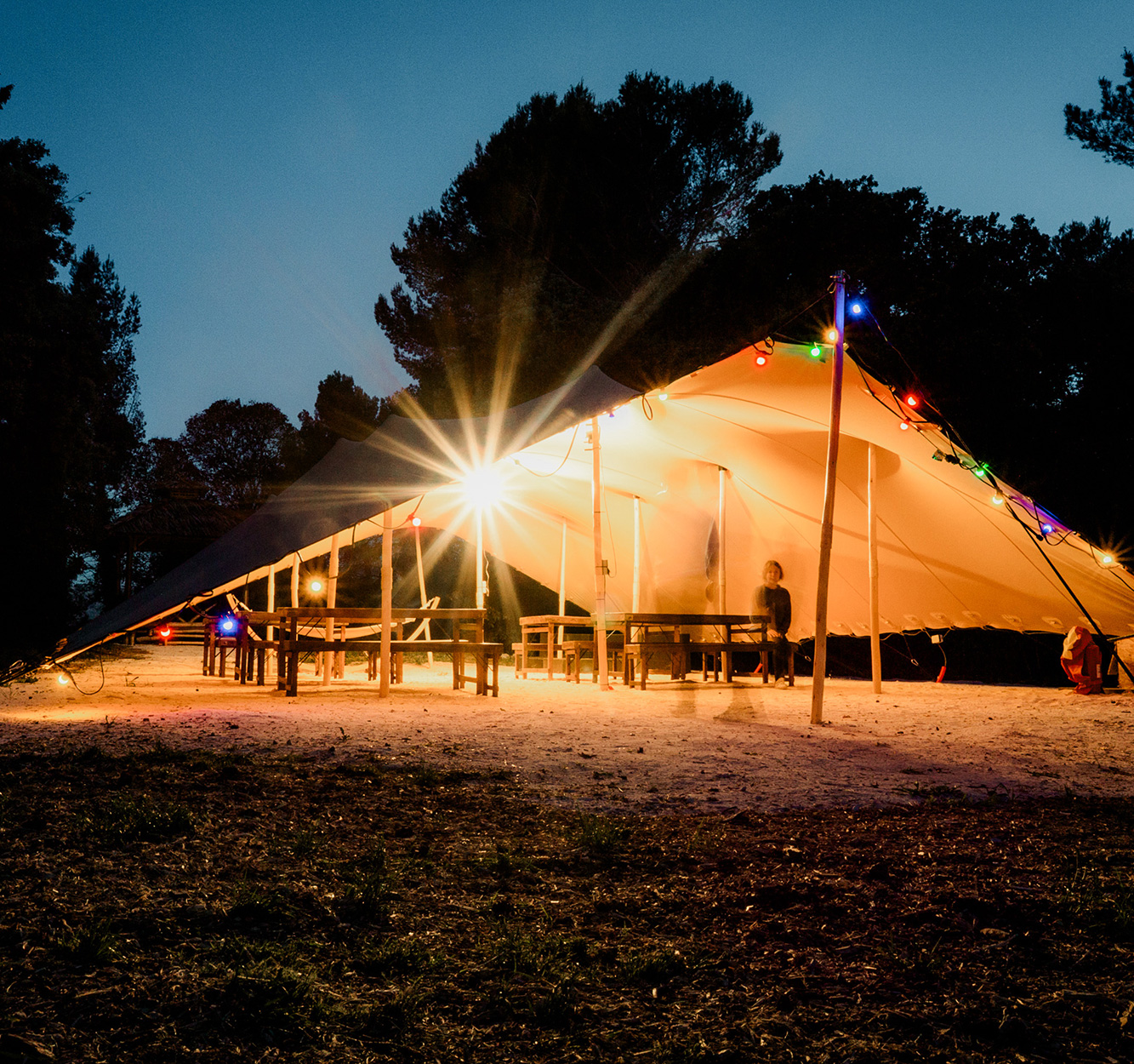 ecolodge Safari ouvert