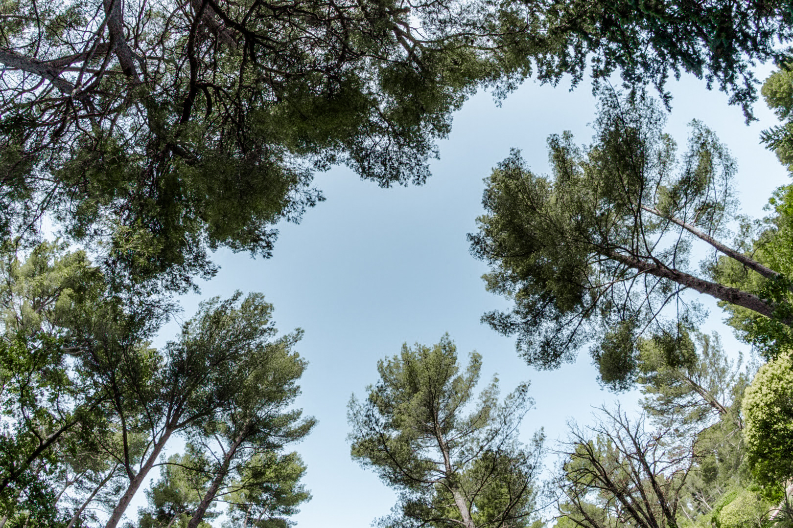 ecology camping provence