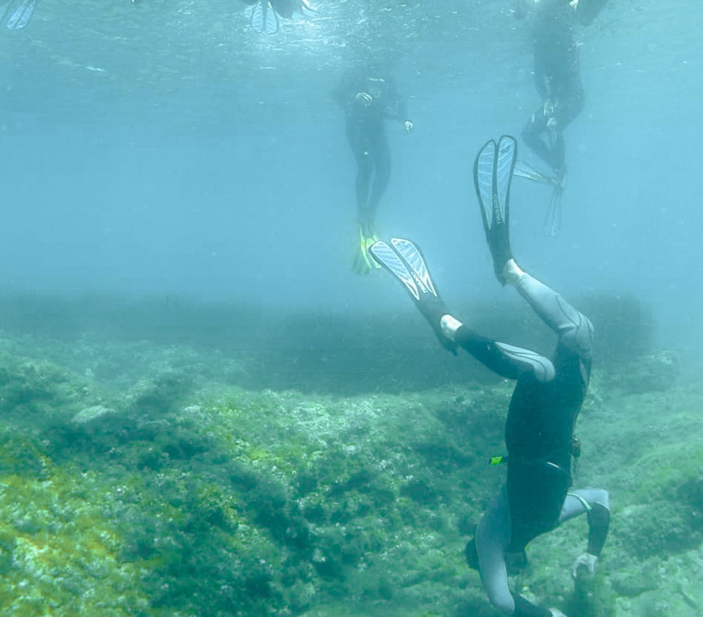 diving calanques tourism
