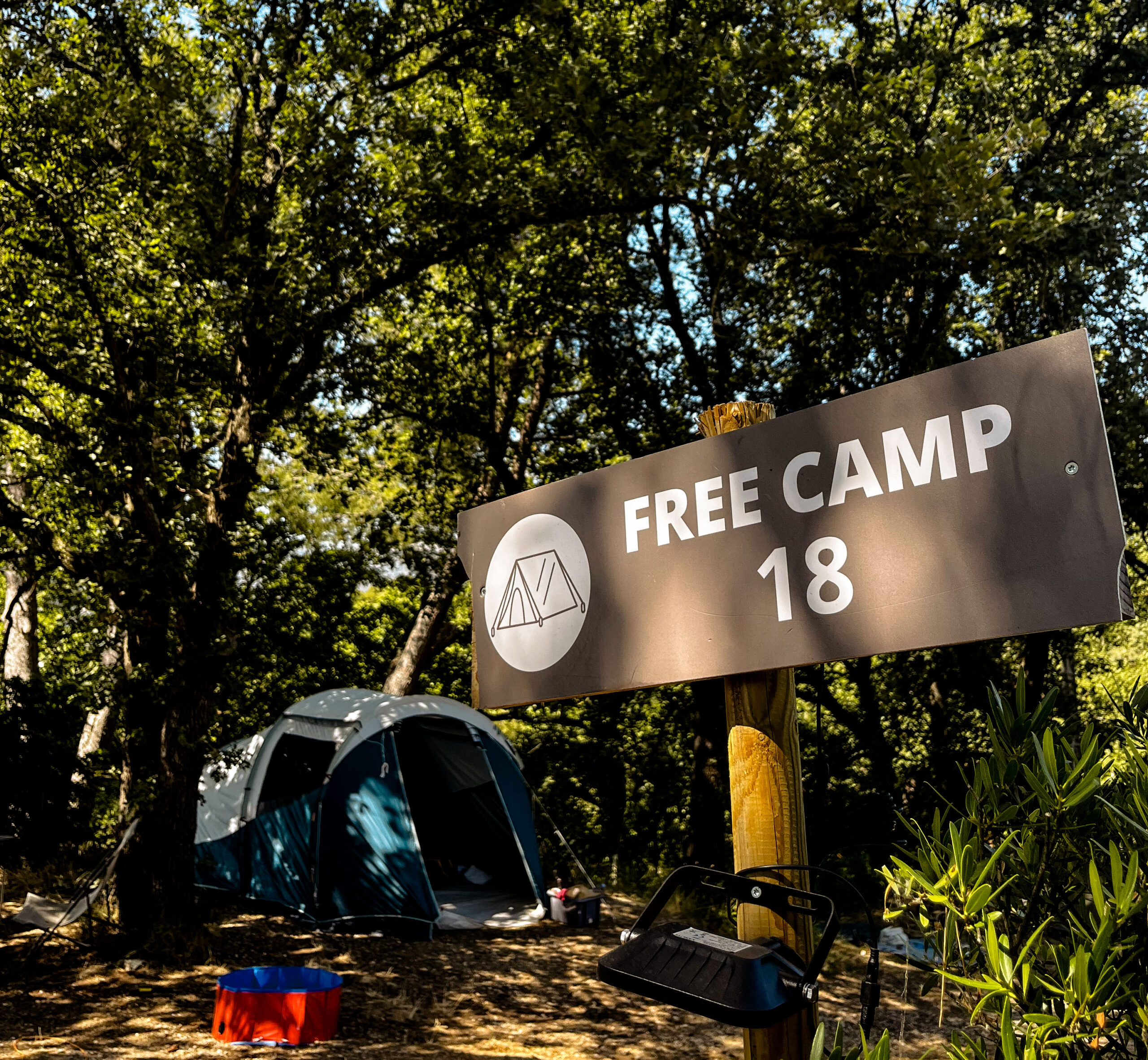 freecamp marseille