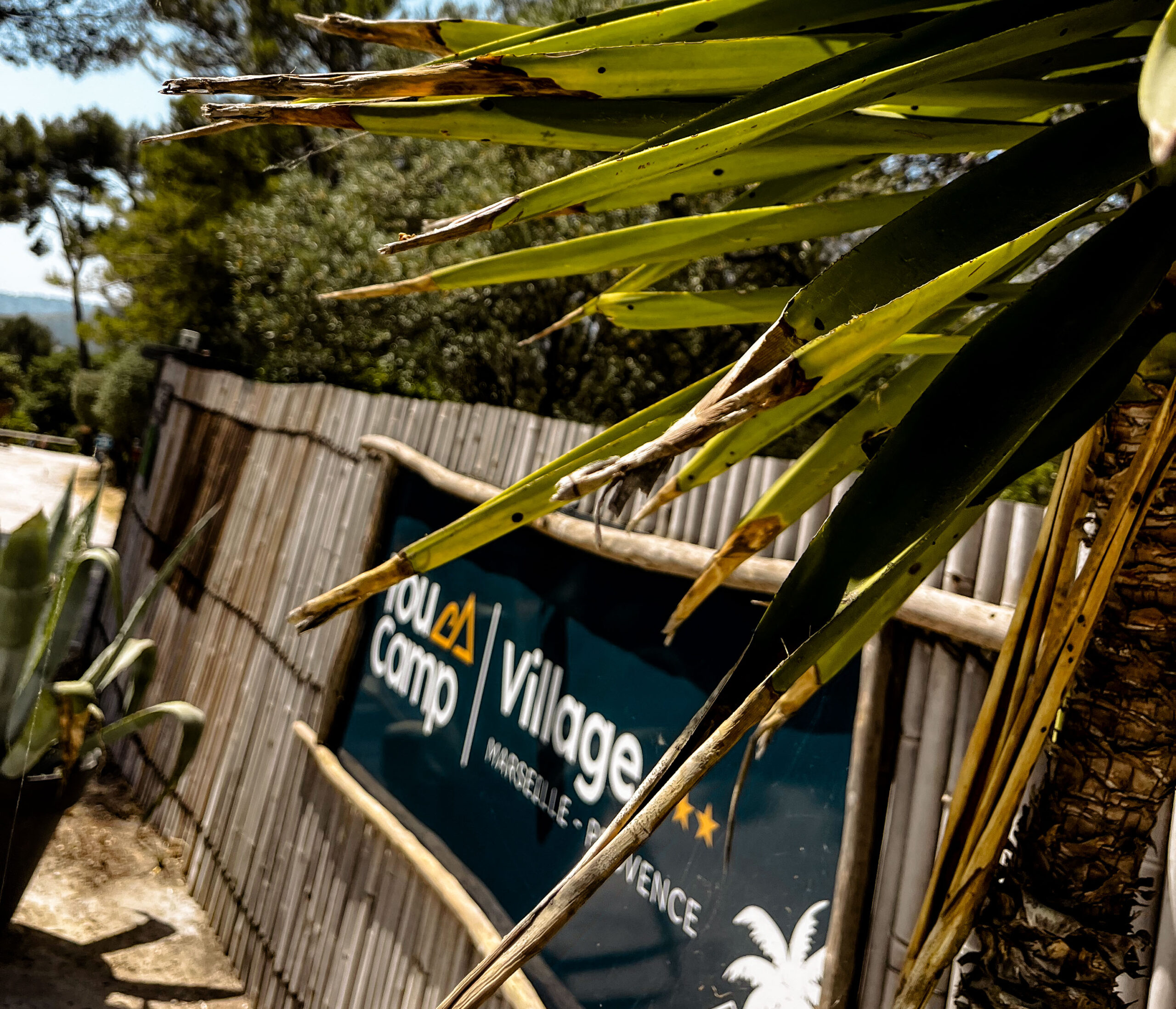 youcamp sign