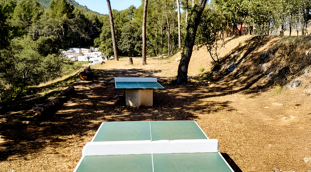 tables de ping pong