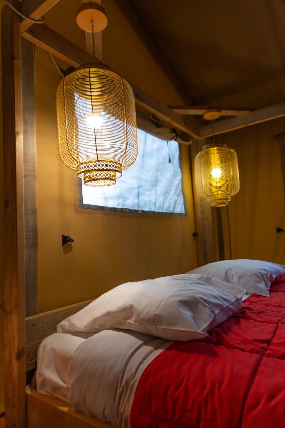 Ecolodge Safari