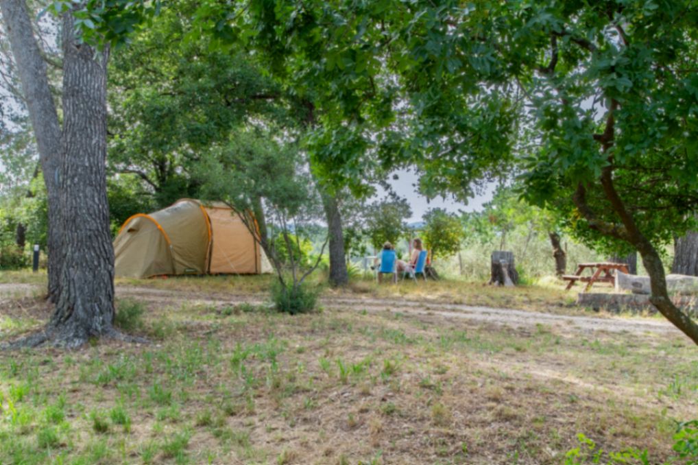 Freecamp électrifié – Tente & Van